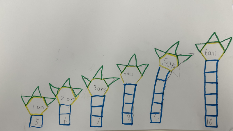 Un dessin de figures pour montrer la croissance d' un arbre sur 6 ans.